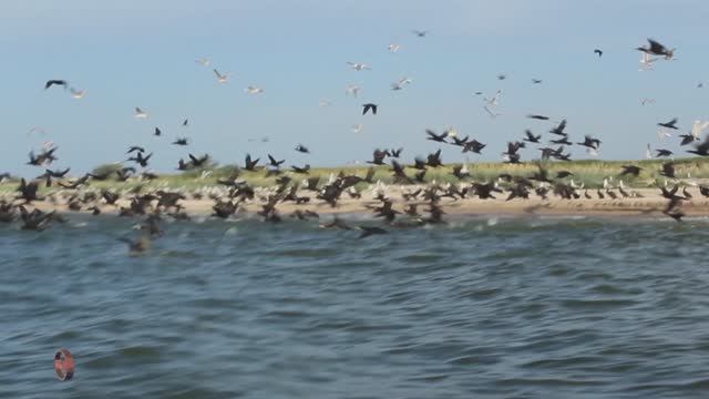 " Привет с большого будуна ... " Музыкальна шкатулка смотреть онлайн