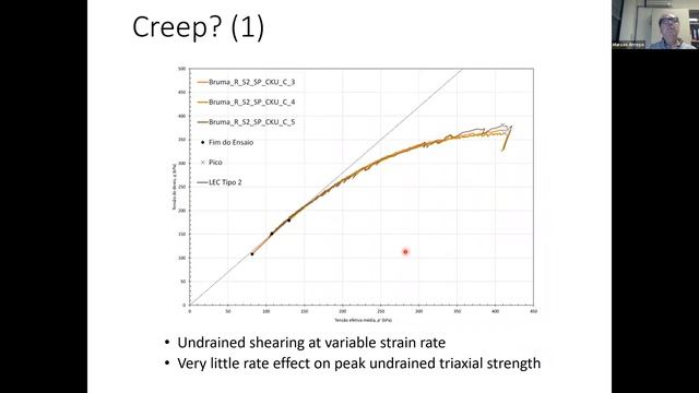 Marcos Arroyo - Numerical analysis of the Brumadinho Tailings Dam Failure смотреть онлайн