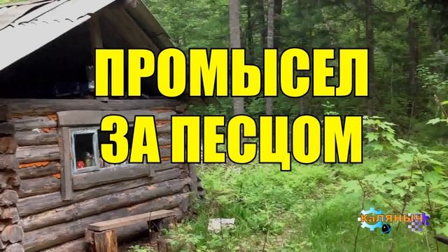 ПРЕДАЛ НАПАРНИК _ ИСТОРИИ ИЗ ЖИЗНИ ОХОТНИКОВ _ НА РЕАЛЬНЫХ СОБЫТИЯХ смотреть онлайн