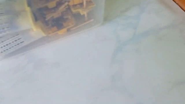 Инструментальное осеменение. Газование маток (30.07.2023) смотреть онлайн