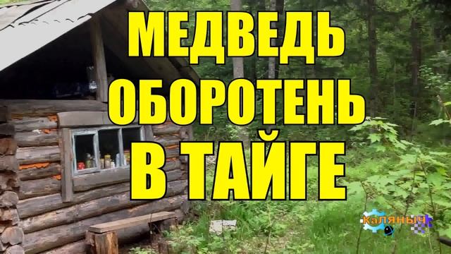 0996 - МЕДВЕДЬ_ ОХОТНИК-УБИЙЦА _ УБИЙСТВО В ТАЙГЕ смотреть онлайн
