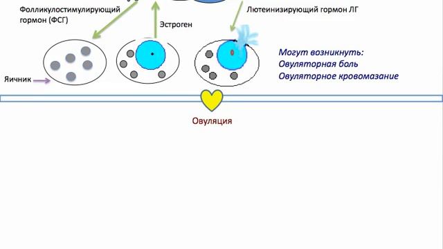 1 блок 4 урок смотреть онлайн