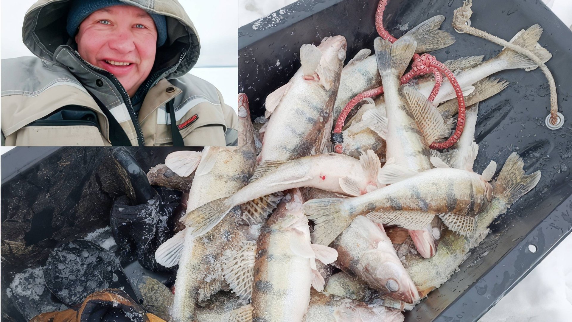 СУПЕР!!! ТАКОГО КЛЁВА на ПОСТОВУШКИ я не видел!!!! смотреть онлайн