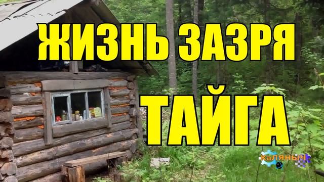 ЖИЗНЬ ПРОЖИТА ЗРЯ _ ФЕЛЬДШЕР В ТАЙГЕ смотреть онлайн