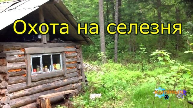 1195 - Охота на селезня _ Аудиокнига смотреть онлайн