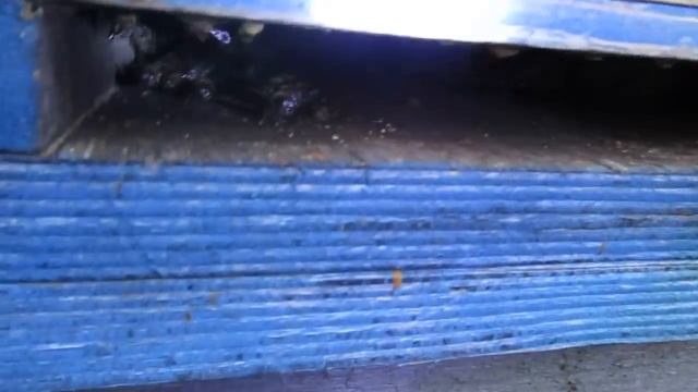 Содержание пчёл в 8-рамочных ульях. Проверка на готовность к расширению смотреть онлайн