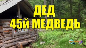 45й МЕДВЕДЬ  ДЕДА _ ЖИЗНЬ В ТАЙГЕ