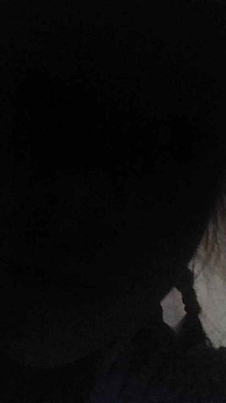 мы наридили ёлку смотреть онлайн