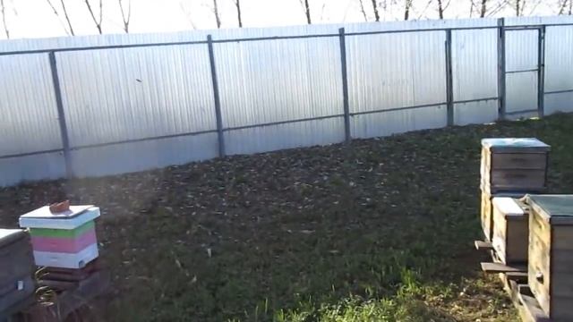 Экспериментальный нуклеус на альпийскую рамку РД 108 смотреть онлайн