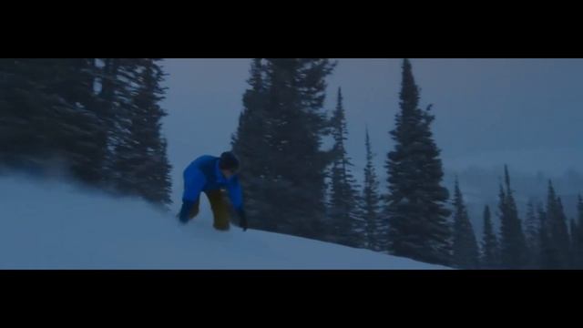 5 РЕАЛЬНЫХ ИСТОРИЙ ВЫЖИВАНИЯ ЧЕЛОВЕКА