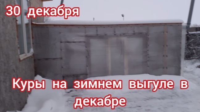 Первый месяц зимы. Куры на зимнем выгуле. смотреть онлайн