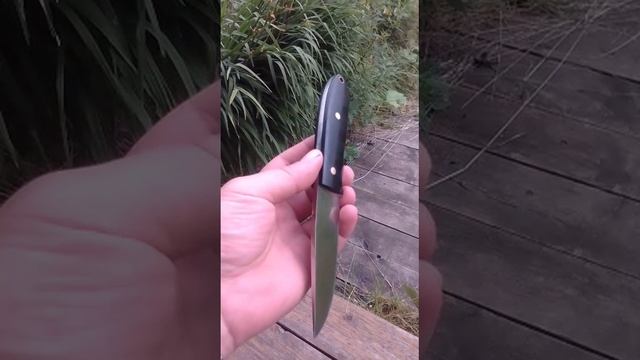 440с+G10