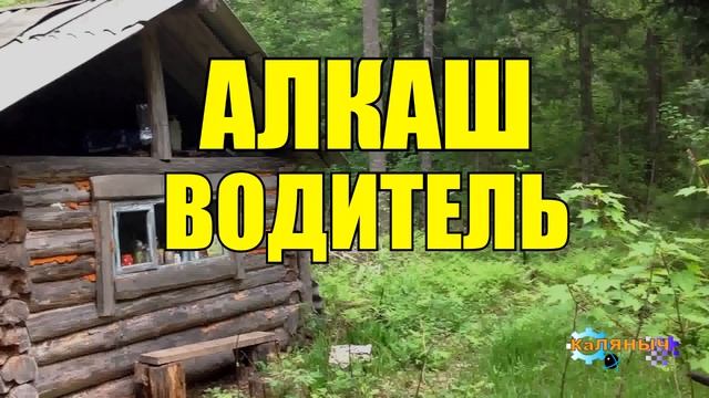 0905 - ИСТОРИИ ИЗ ЖИЗНИ _ ВЫПИВОХА НА СКОРОЙ ПОМОЩИ смотреть онлайн