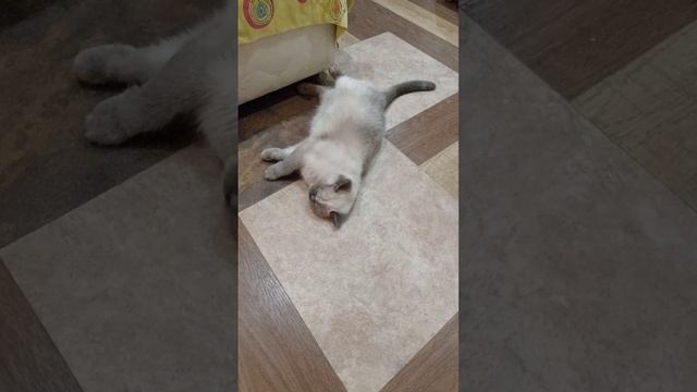Отель Самарская область смотреть онлайн