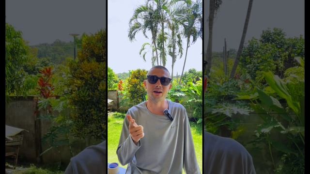 Что такое коучинг на самом деле? смотреть онлайн