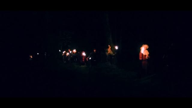 Danheim - Vikinger (feat. Sigurbodi)