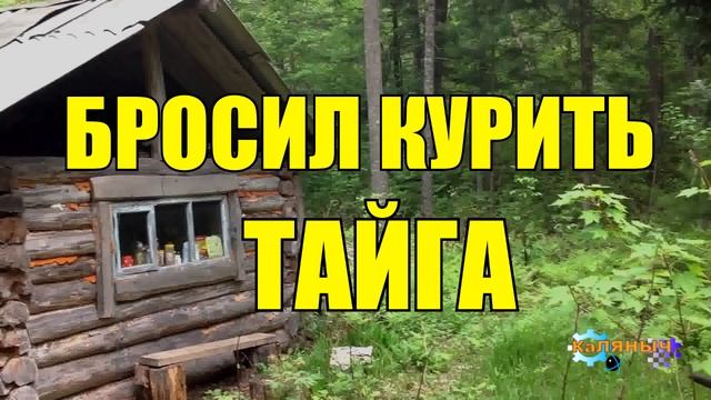 0976 - ОПАСНАЯ ВСТРЕЧА _ БРОСИЛ КУРИТЬ смотреть онлайн