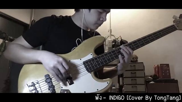 พัง - INDIGO ( Cover Bass By Tongtang )