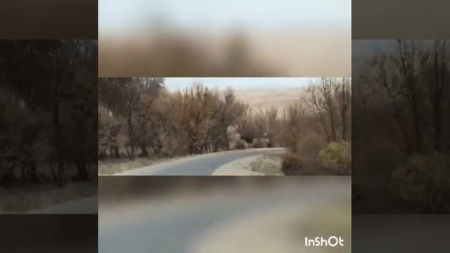 #BestвидеоТуғанөлке2020 Жуалы ауданы №11 Т.Тастандиев атындағы ОМ Жұмабек С., Алайдарова Ж.