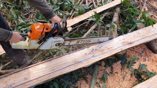 Os melhores momentos do mês de setembro motosserra 395xp e 382 смотреть онлайн