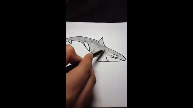 Marine Predator-Prey Interactions смотреть онлайн