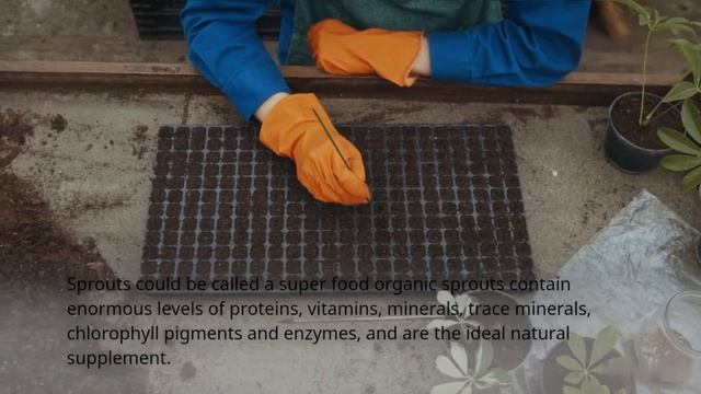 What Most People Don't Know About Raw Food Diet смотреть онлайн