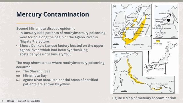 Mercury Contamination in Minamata Bay, Japan смотреть онлайн