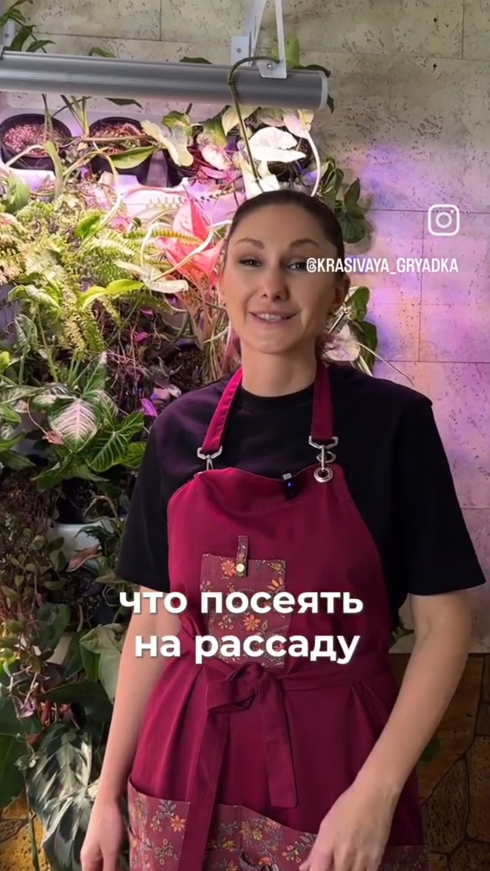 Что посеять на рассаду в декабре смотреть онлайн