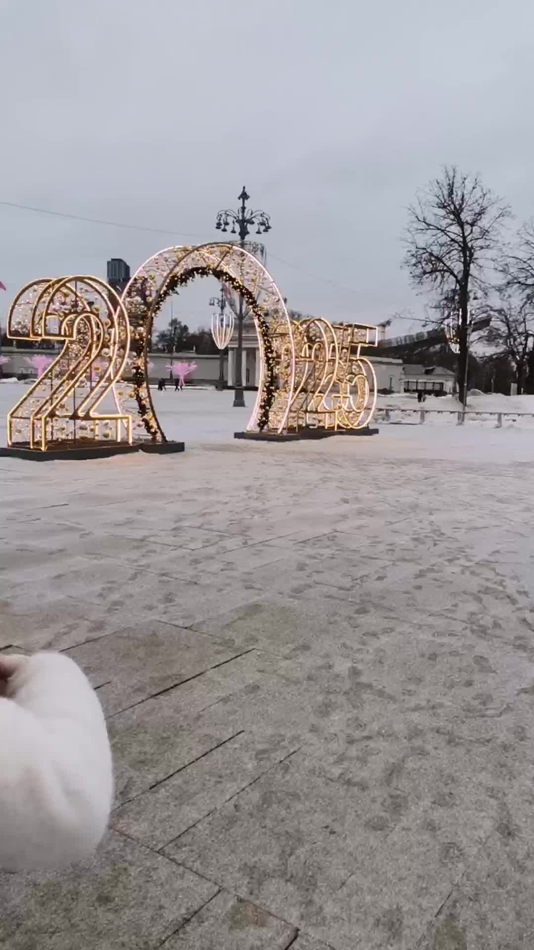 ВДНХ пробное