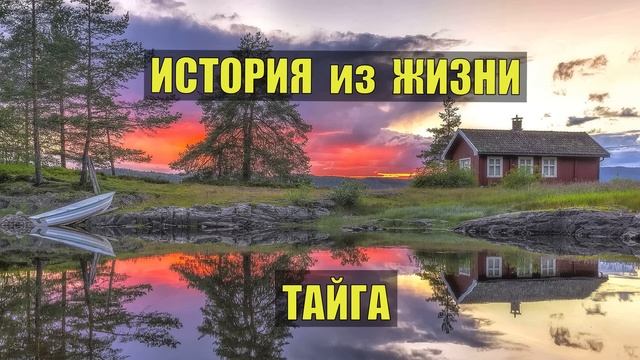 0551 ИСТОРИИ из ЖИЗНИ ЛЕСНИКА СУДЬБА ПОХОДНИКИ в ЛЕСУ в ТАЙГЕ ПРИКОЛЫ ЮМОР СМЕШНЫЕ РАССКАЗЫ смотреть онлайн