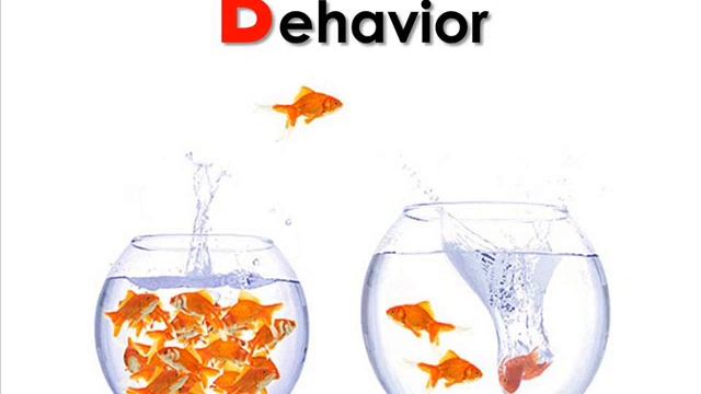 Module 5: The Prevention Plan смотреть онлайн