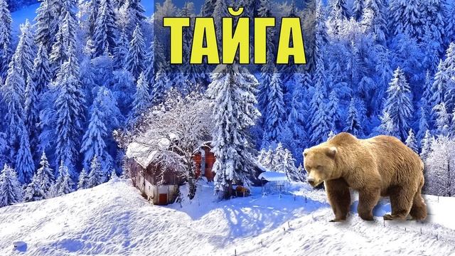 МЕДВЕДЬ и ДОМ ЛЕСНИКА СЛУЧАЙ КАК ЖИВУТ ОТШЕЛЬНИК СУДЬБА ЧЕЛОВЕКА ЖИЗНЬ в ЛЕСУ смотреть онлайн