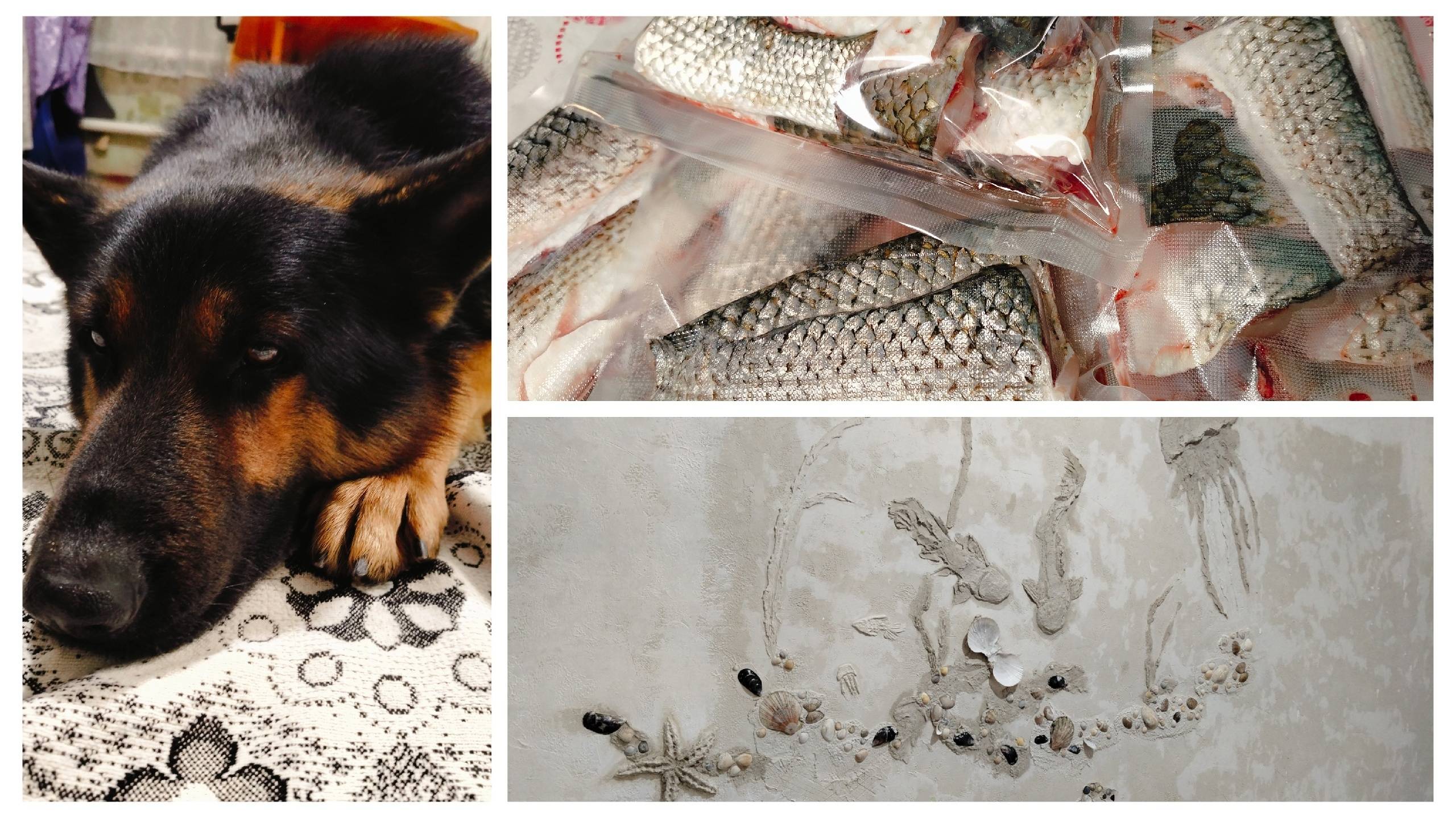 Кто чем занят.Просто сидеть, просто ждать, не получилось.Новый зверь для меня! смотреть онлайн