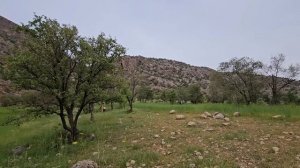 nomadic lifestyle: the hard life of a nomadic widow to meet living expenses: 2024