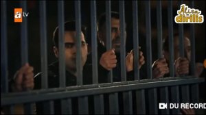 Мафия не может править миром