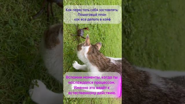 По шагам :) смотреть онлайн