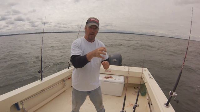 How to catch Bluefish on Chunks, THE ONE THAT GOT AWAY смотреть онлайн