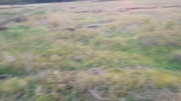 Плуг Лидер, тест!