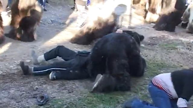 Сурва 2018 г. в село Крупник кв. "Овча купел" 1-9 смотреть онлайн