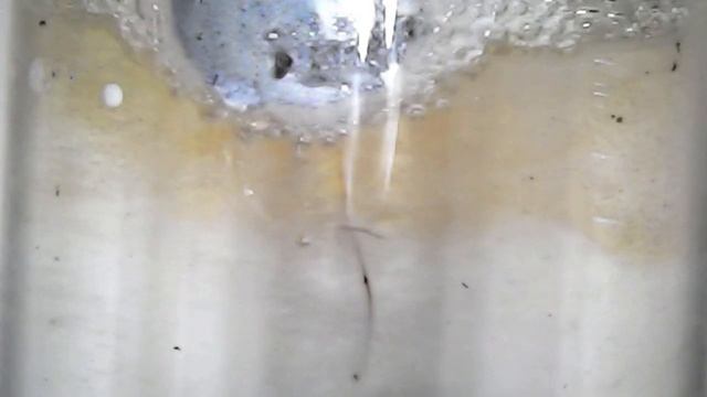 Reacting sodium (Na) with concentrated sulfuric acid (H2SO4), with an unexpected result смотреть онлайн