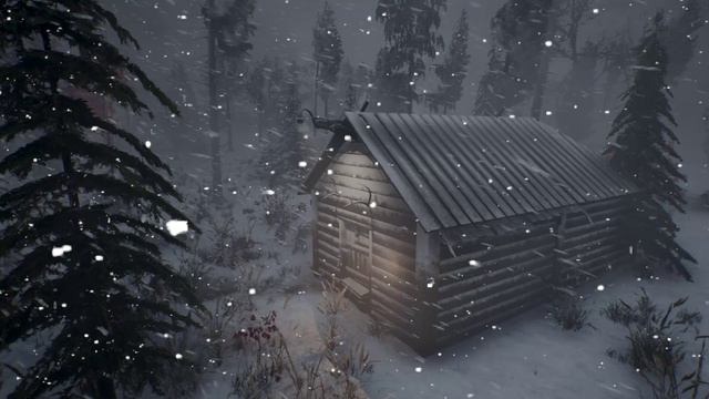 -40 at the ARCTIC STATION and Sounds of an icy snow storm and Howling of a strong wind смотреть онлайн