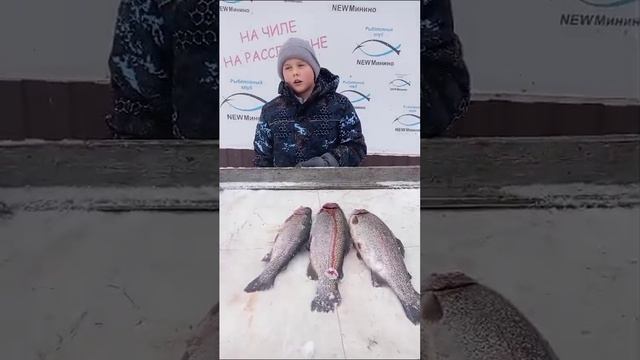 улов нашего гостя смотреть онлайн