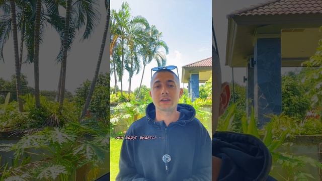 Стоп-кадр: Осознанная пауза внутри смотреть онлайн