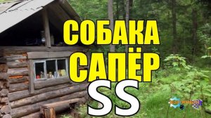 СОБАКА СПАСЛА ЧЕЛОВЕКА ИЗ КОНЦЛАГЕРЯ SS ВОВ
