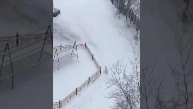 Песец на площадке, Новый Уренгой смотреть онлайн