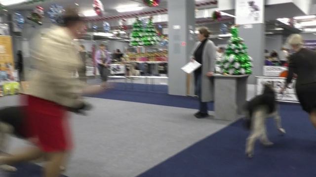ОСТРОВ СОКРОВИЩ, 22.12.24