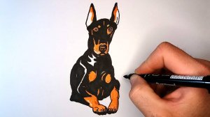 Как нарисовать Добермана