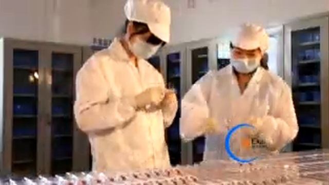 Guangzhou Ekai Electronic Technology Co.,Ltd./ Derma Pen Derma Roller