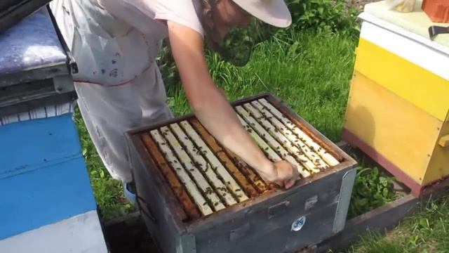 Замена матки методом Филатова смотреть онлайн