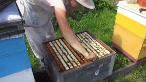 Замена матки методом Филатова